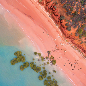 Your Ultimate Guide to Broome