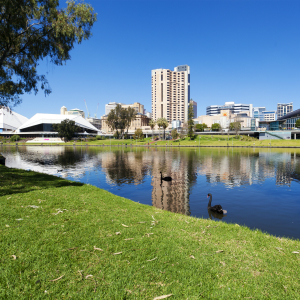 There are so many things to see and do in Adelaide