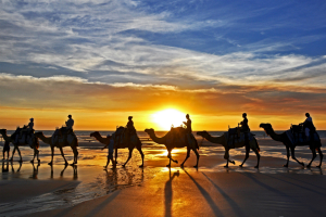 Adventure Aboard A Ship of the Desert: Things To Do Near Broome