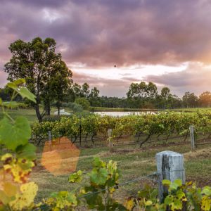 12 Things To Do In The Hunter Valley