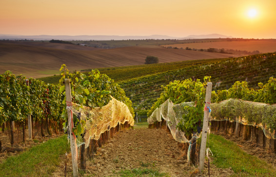 South Australia